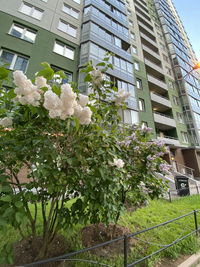 Квартира Молочный Шоколад