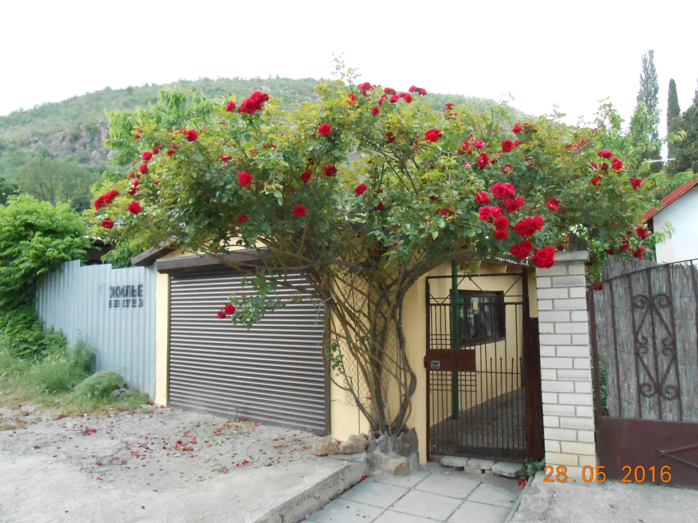 Частный дом Лазурное