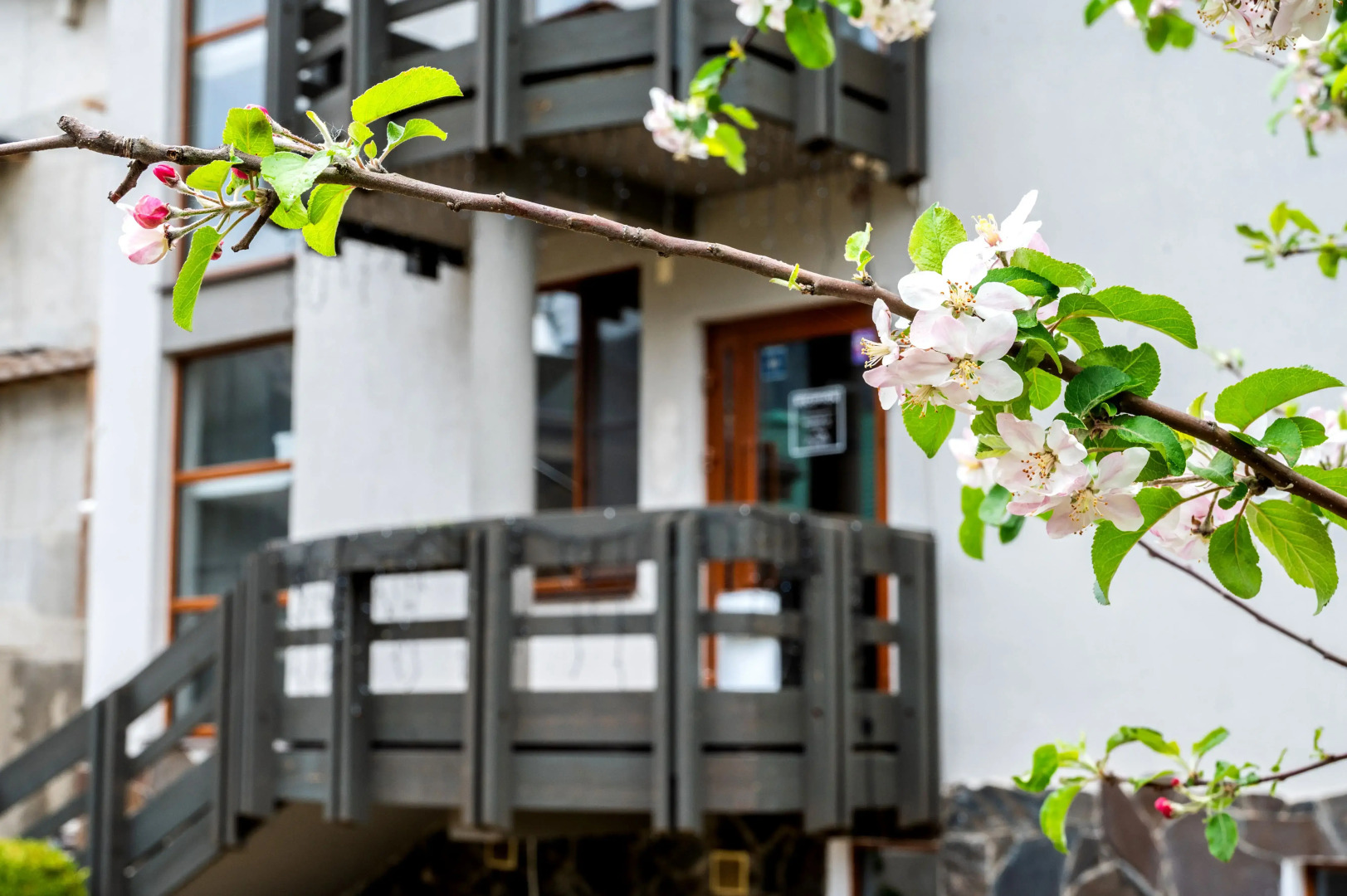 Отель Эльпида