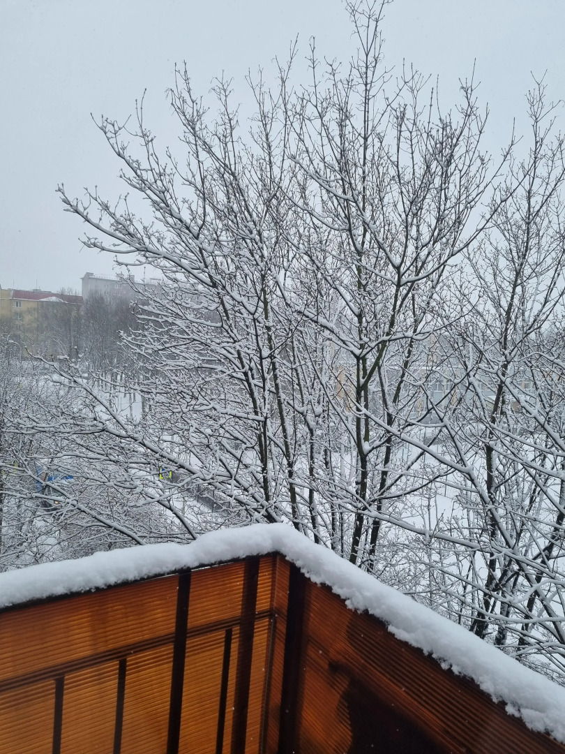 Апартаменты в самом центре Калининграда