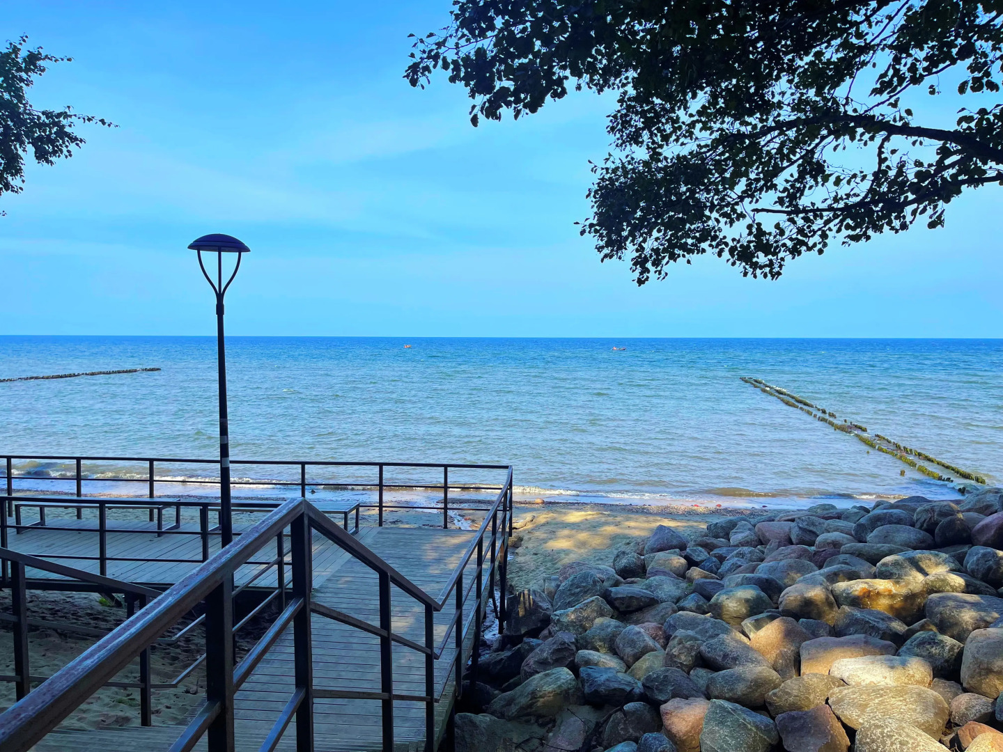 Апартаменты с балконом и видом на сосновый парк рядом с морем