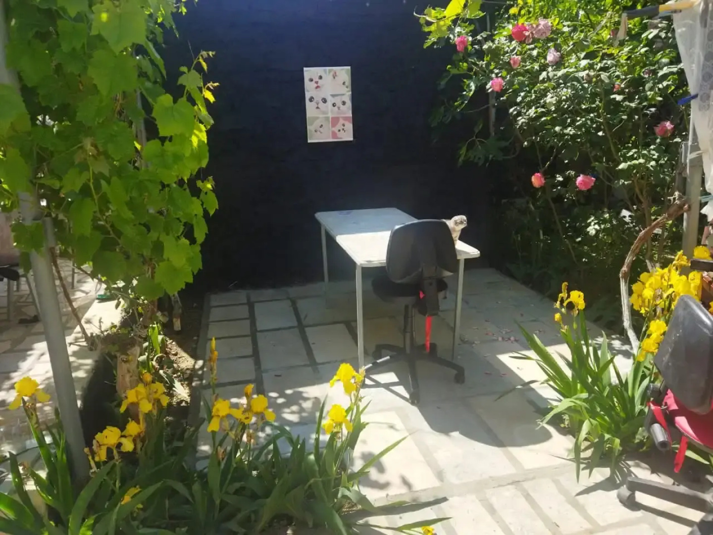 Гостевой дом Комната с отдельным входом и двориком, сдается женскому полу