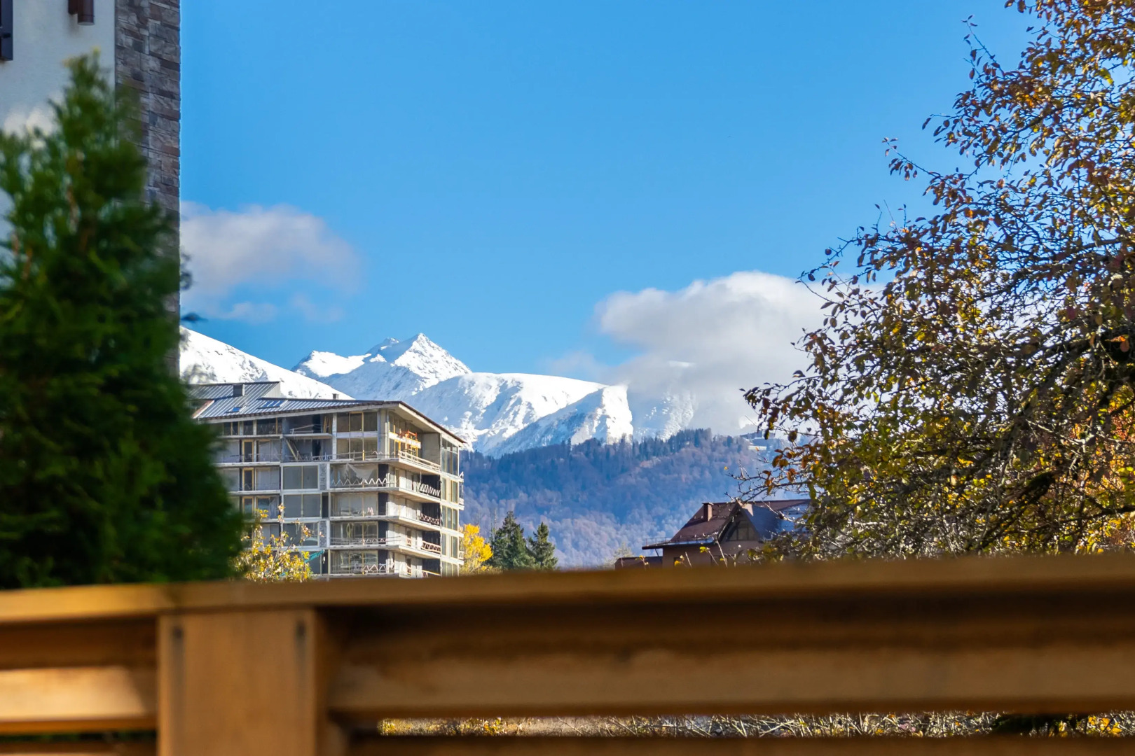 Квартира Зелёная Студия В Гринберге В Красной Поляне