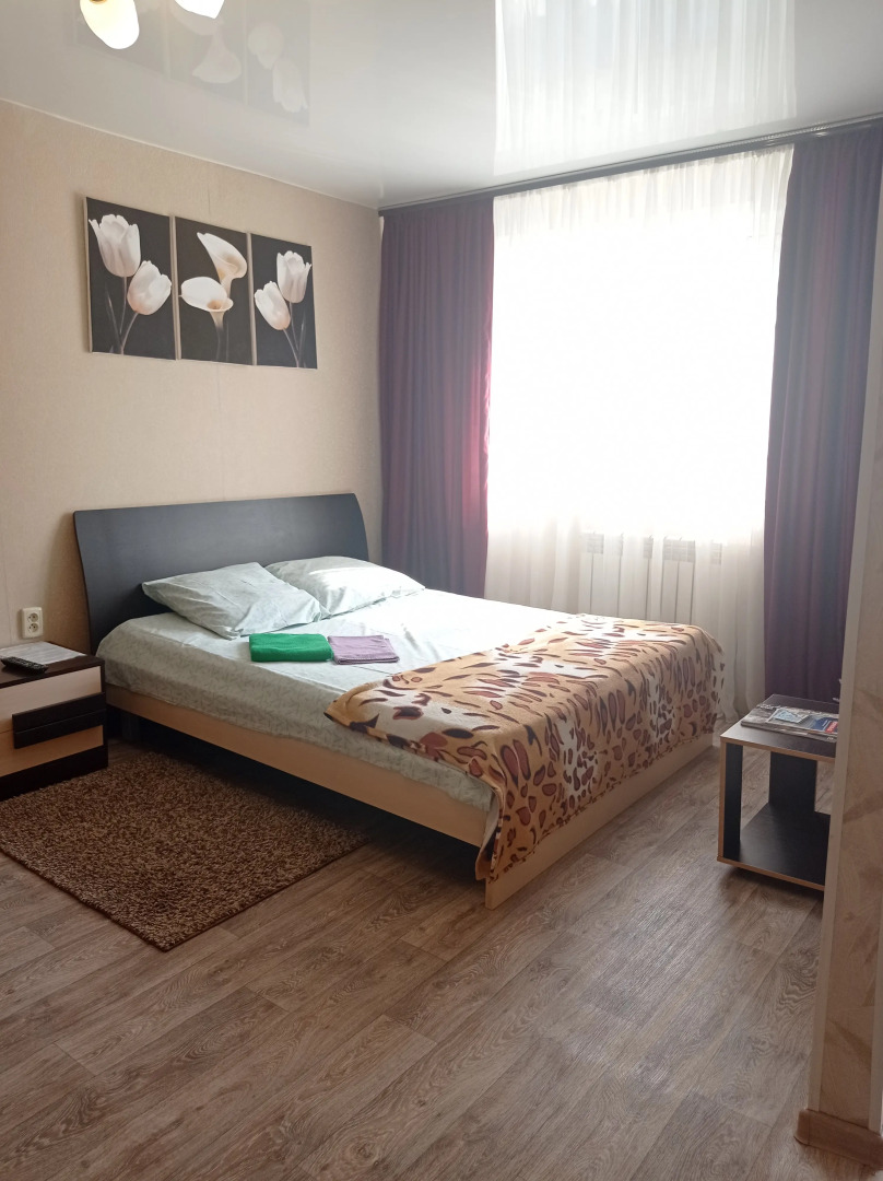 Апартаменты на Московской 15