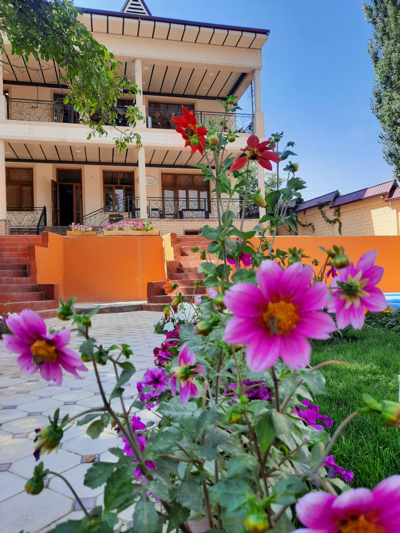 База отдыха Apachi в горах Чимгана