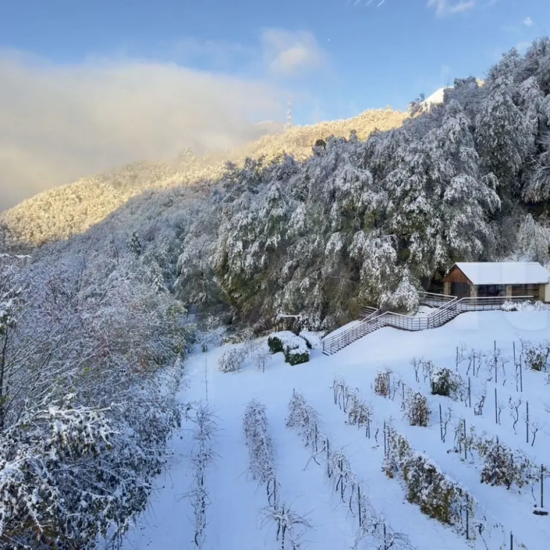 Апартаменты Услада