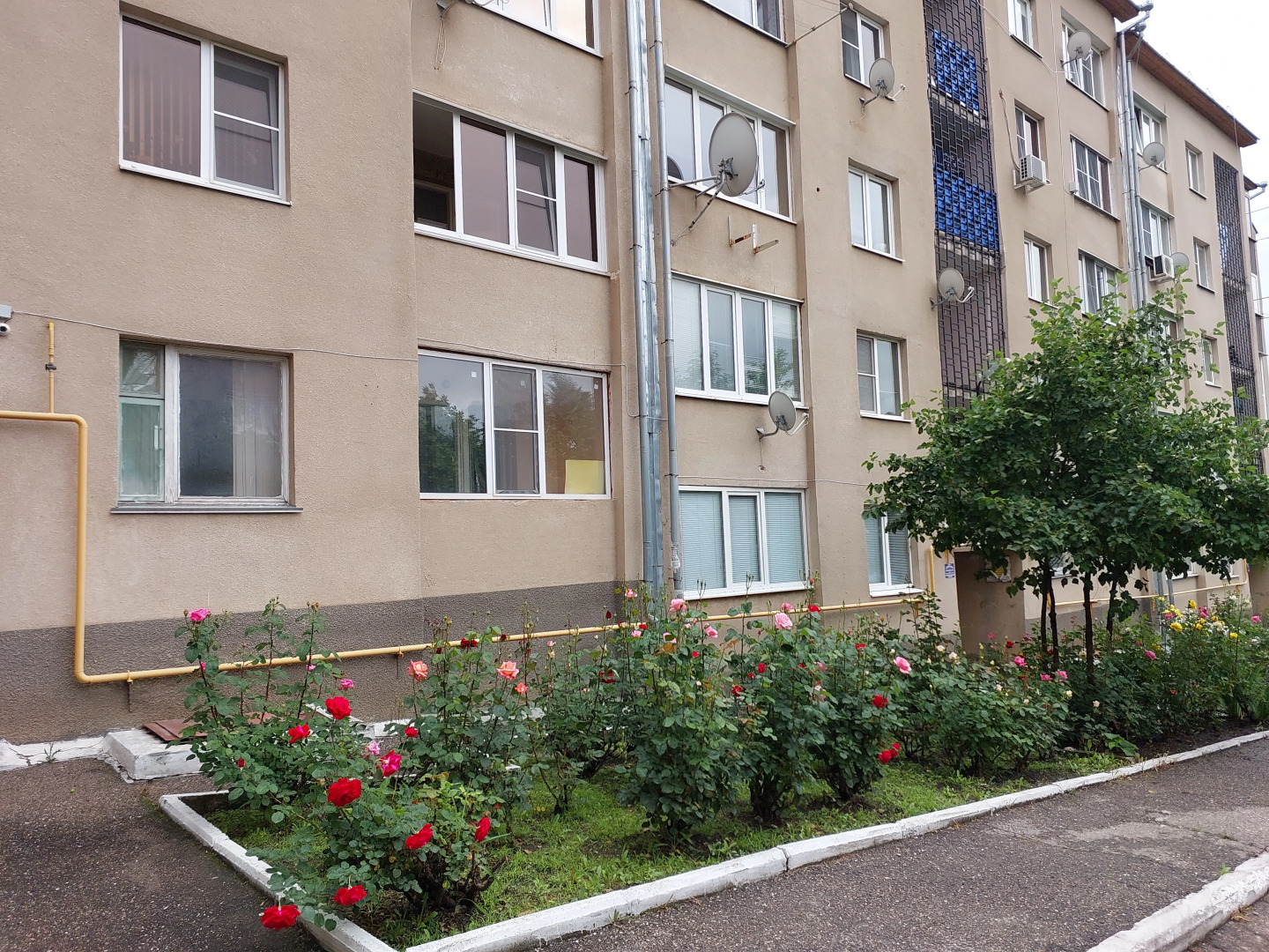 Квартира СуткиРу На Долине Роз