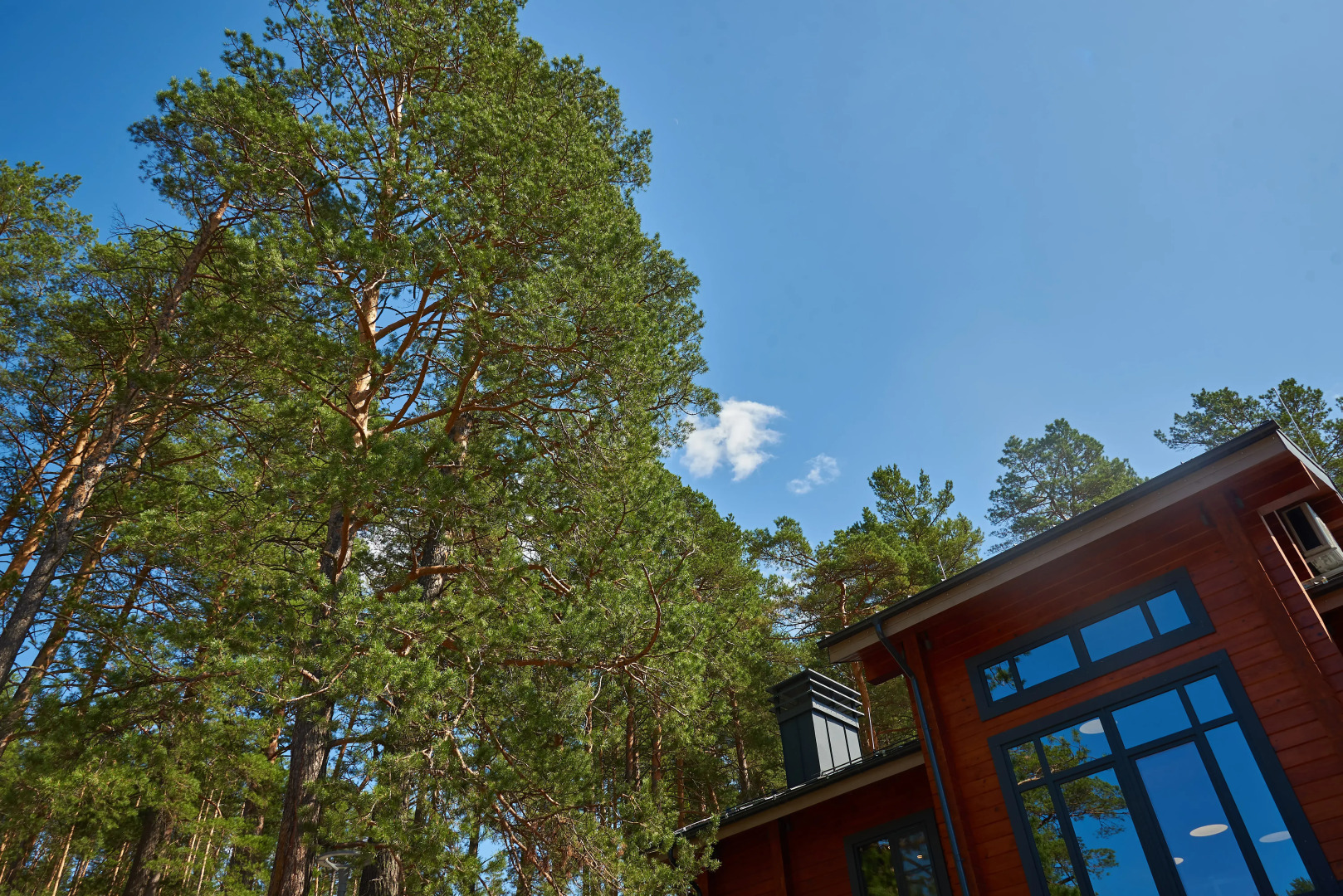 Гостевой дом ЛЕС