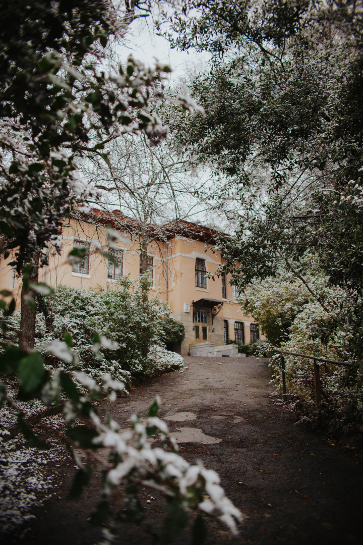 Меблированные Комнаты Villa 7