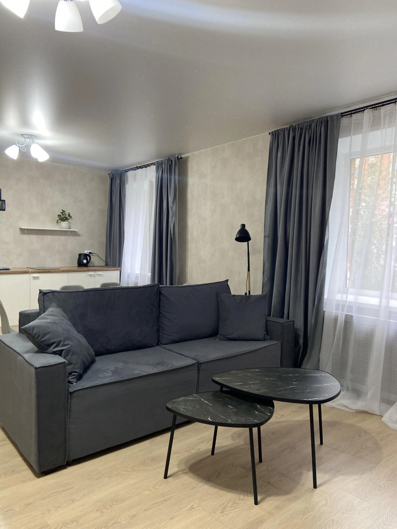 Квартира студия в центре города 50 оттенков серого