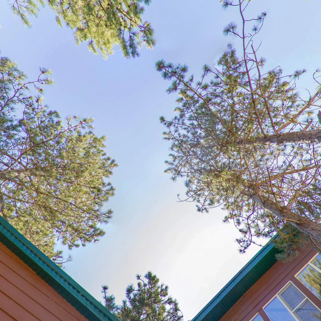 Гостевой дом Лодж Алтай