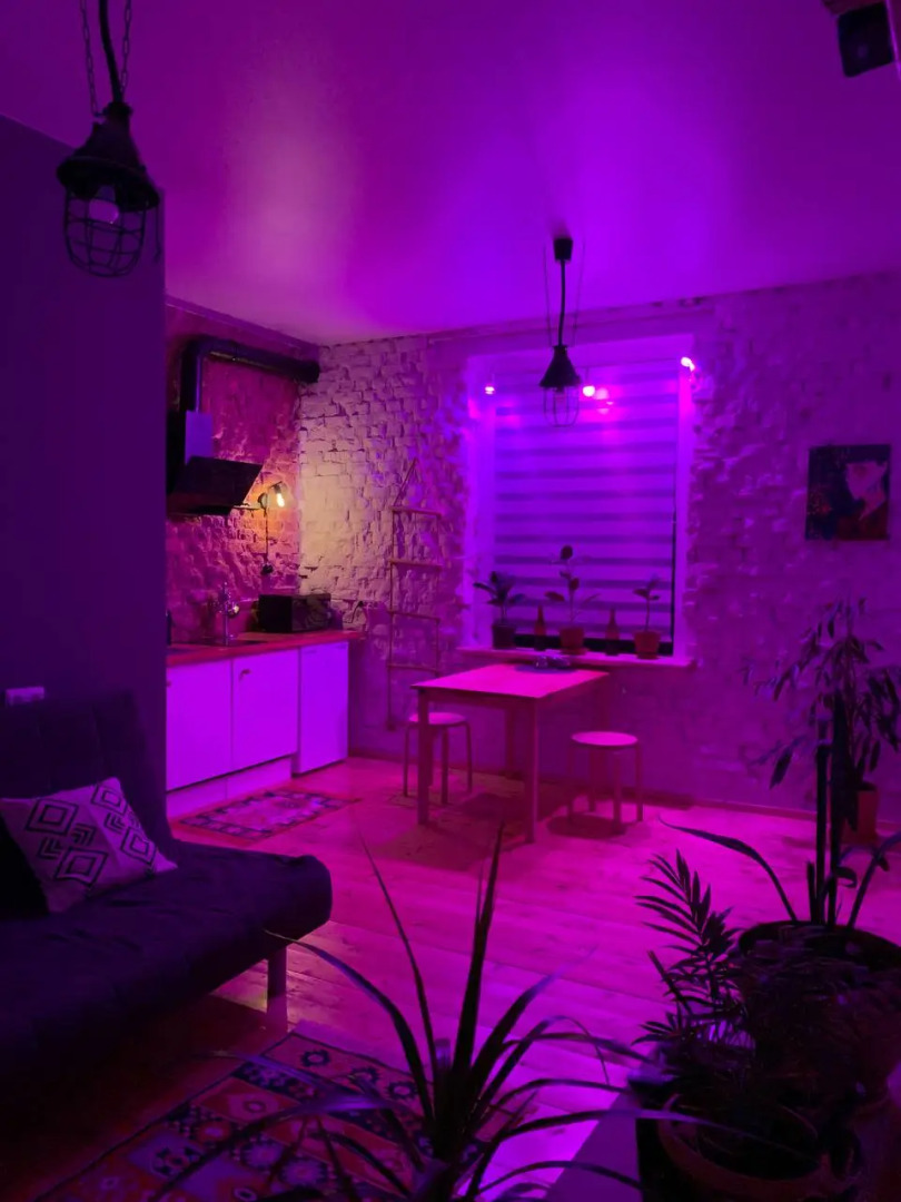 Апартаменты Оранжерея