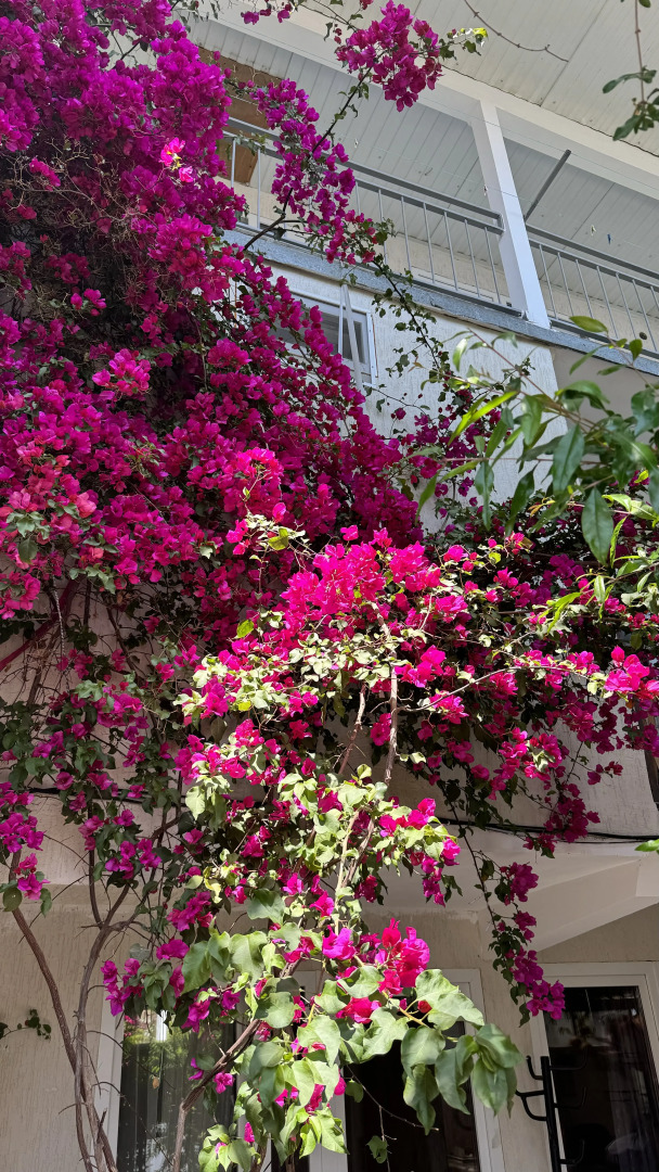 Гостевой Дом Кипарис