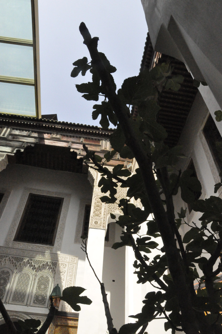 Гостевой Дом Dar 7 Louyat