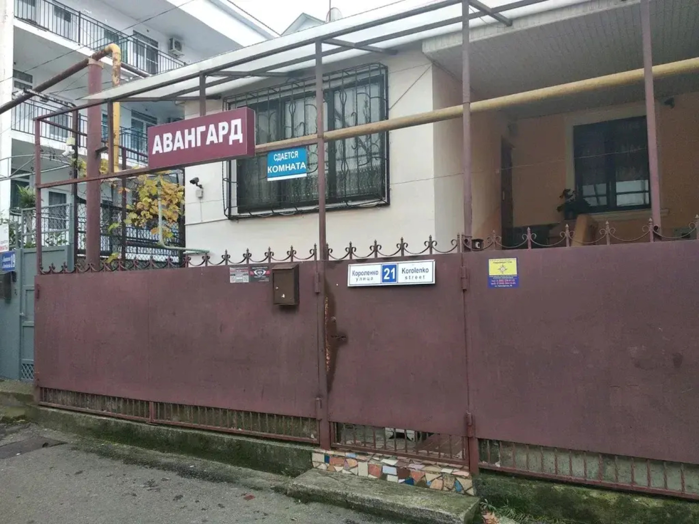 Авангард (адлер)