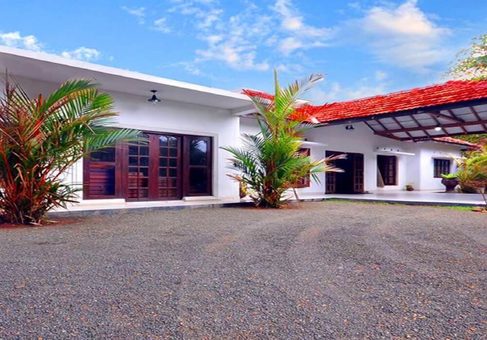 103833Hillview Munnar