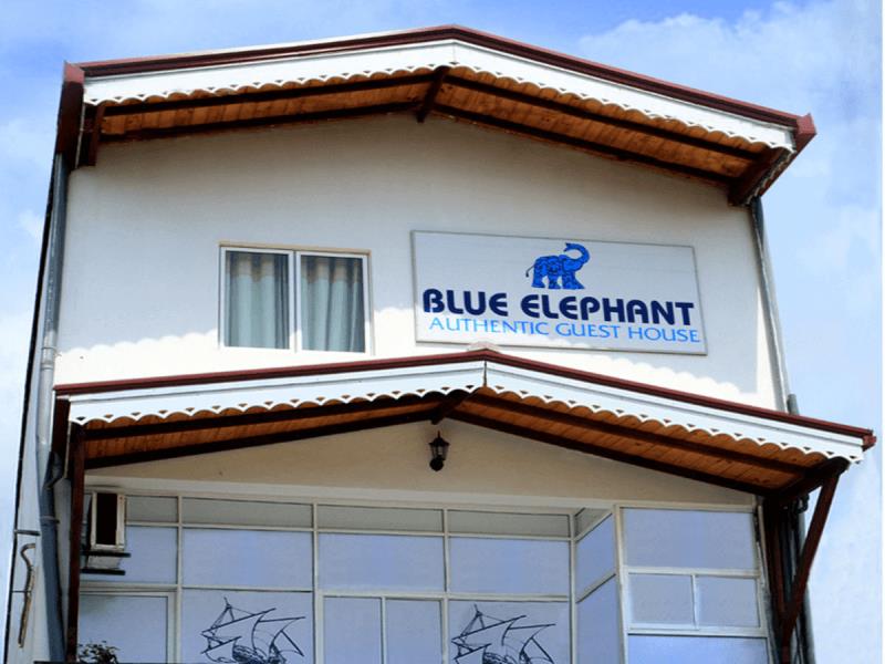 Blue Elephant — Tourist Guest House