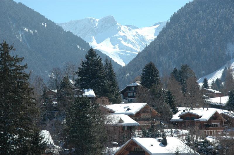 Grand Hotel Park Gstaad