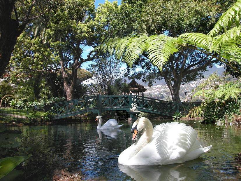 Jardins do Lago