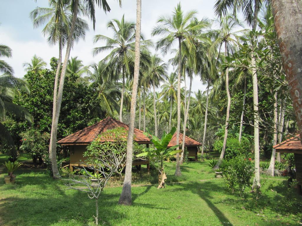 Palm Paradise Cabanas