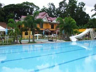 Bohol Coconut Palms