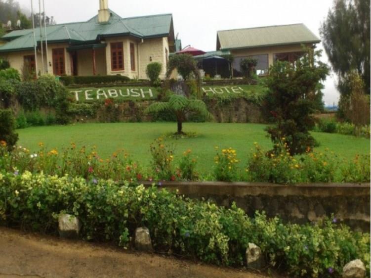 Tea Bush Hotel